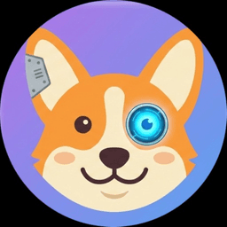Borgi icon
